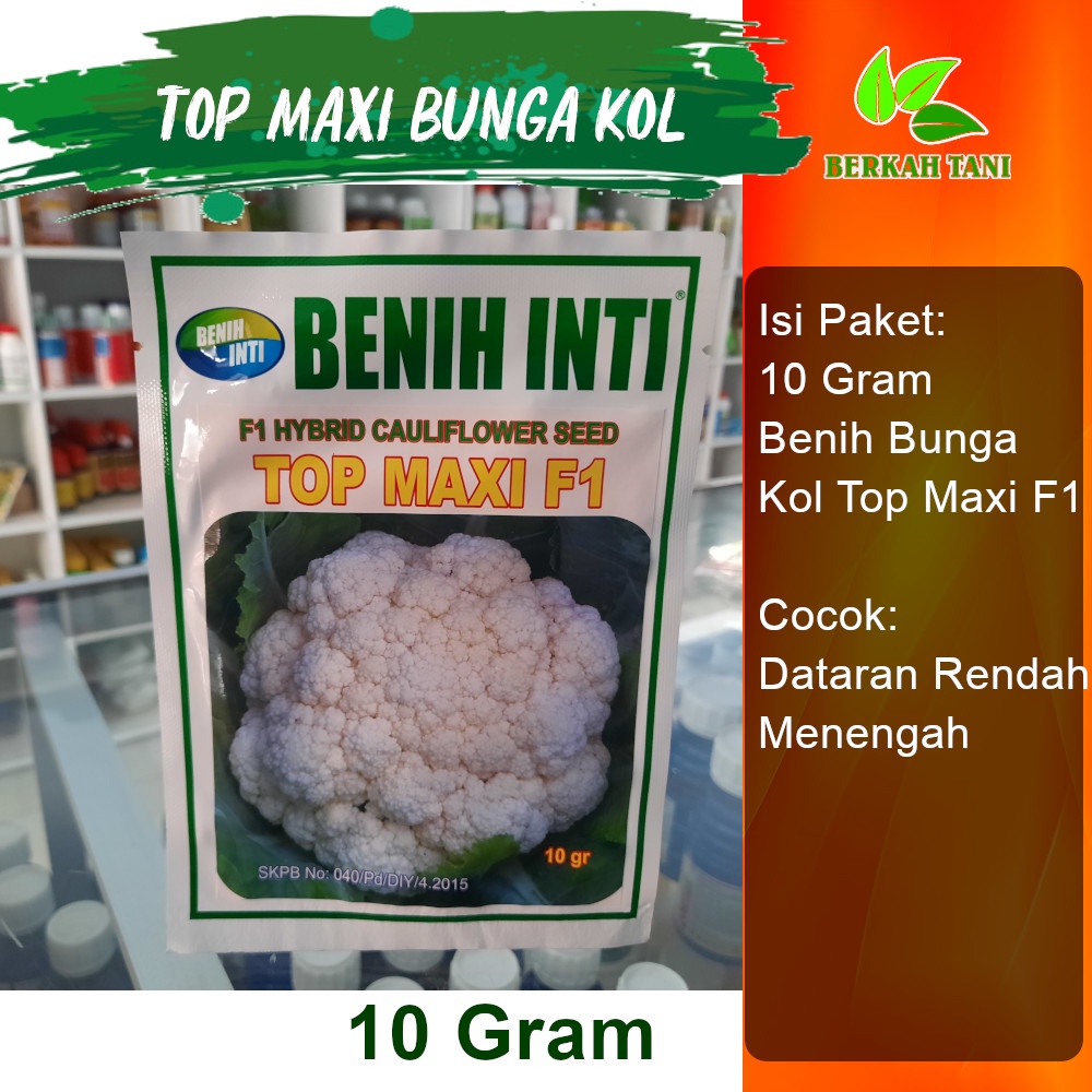 Top Maxi 10 Gram Benih Bunga Kol Dataran Rendah