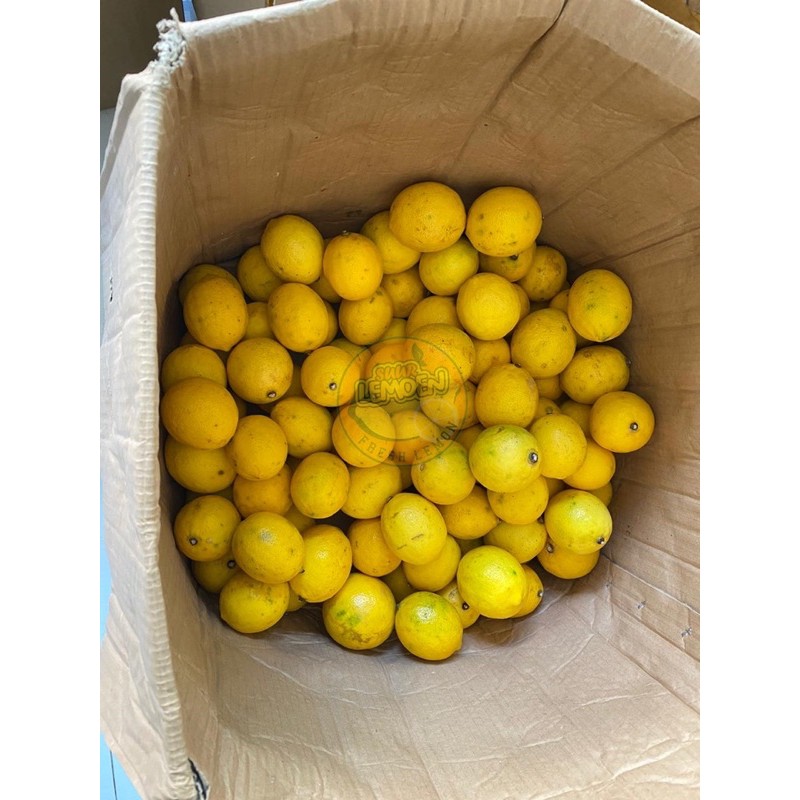 Jeruk Lemon California Grade B (Standart) 1KG  Suur Lemoen ID