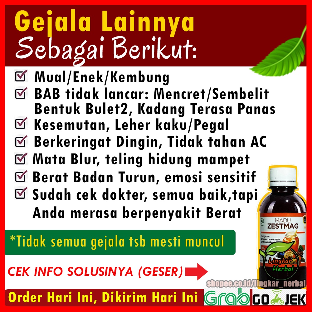 Madu Zestmag Original Obat Maag GERD Asam Lambung Anxiety Herbal