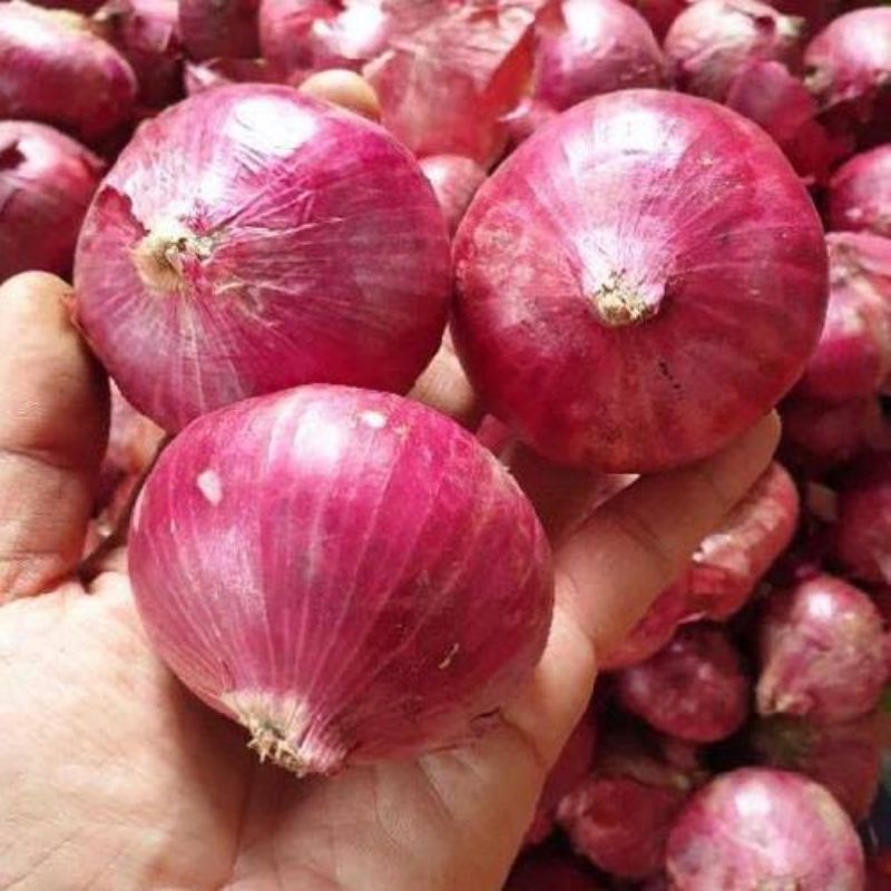 

BAWANG PEKING per KILOGRAM