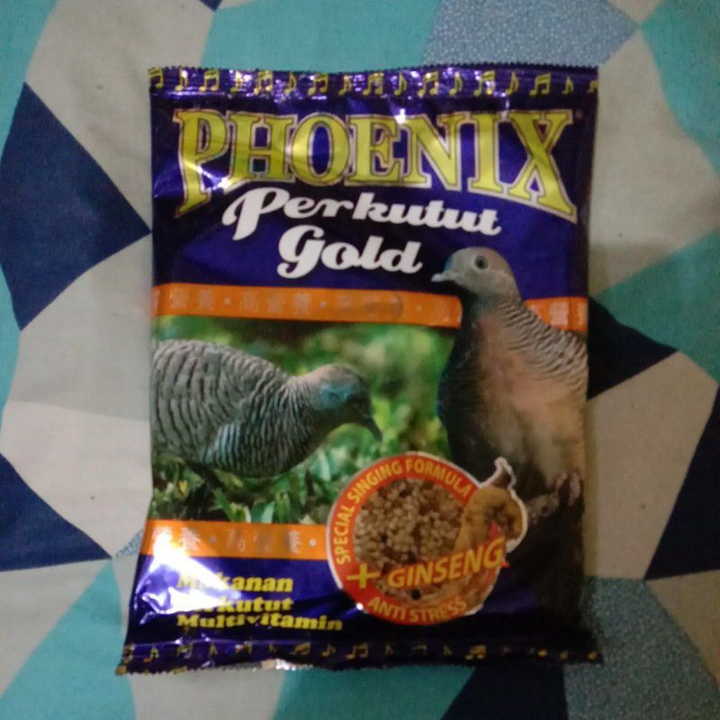 phoenix perkutut gold