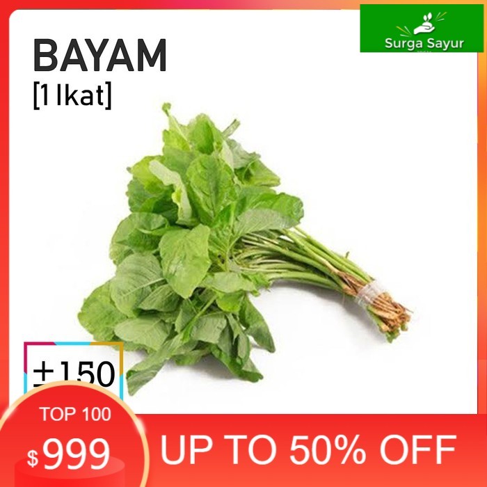 

SURGA SAYUR BAYAM HIJAU SAYUR [1 Ikat, ±150g] SEJABODETABEK BISA KIRIM INSTANT DGN GOSEND/ GRAB