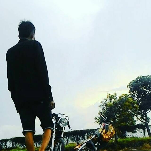 cheprottlarreblesett