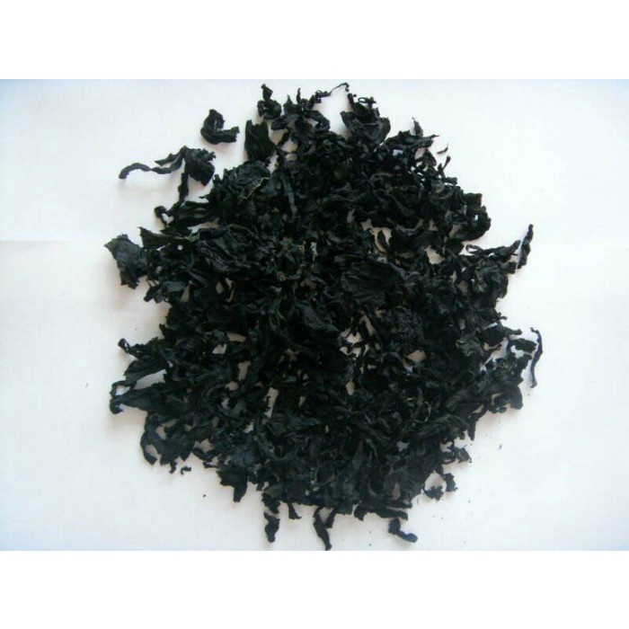 

LAINNYA-KEMASAN-MINUMAN- DRIED CUT WAKAME | RUMPUT LAUT KERING SHARE SIZE 25GRAM - 20 G -MINUMAN-