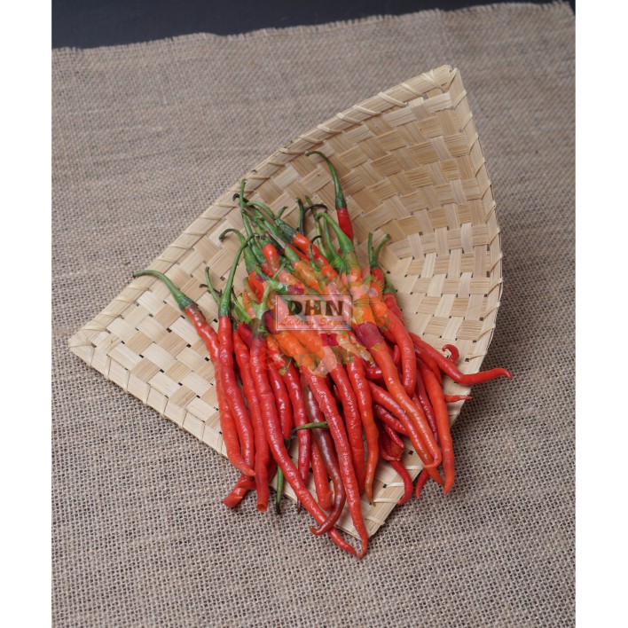 

Cabe Merah Keriting