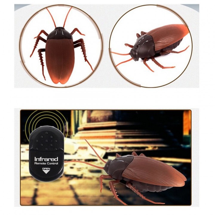 Prank Toys Giant Roach Remote Control Cocroach - Mainan Kecoa