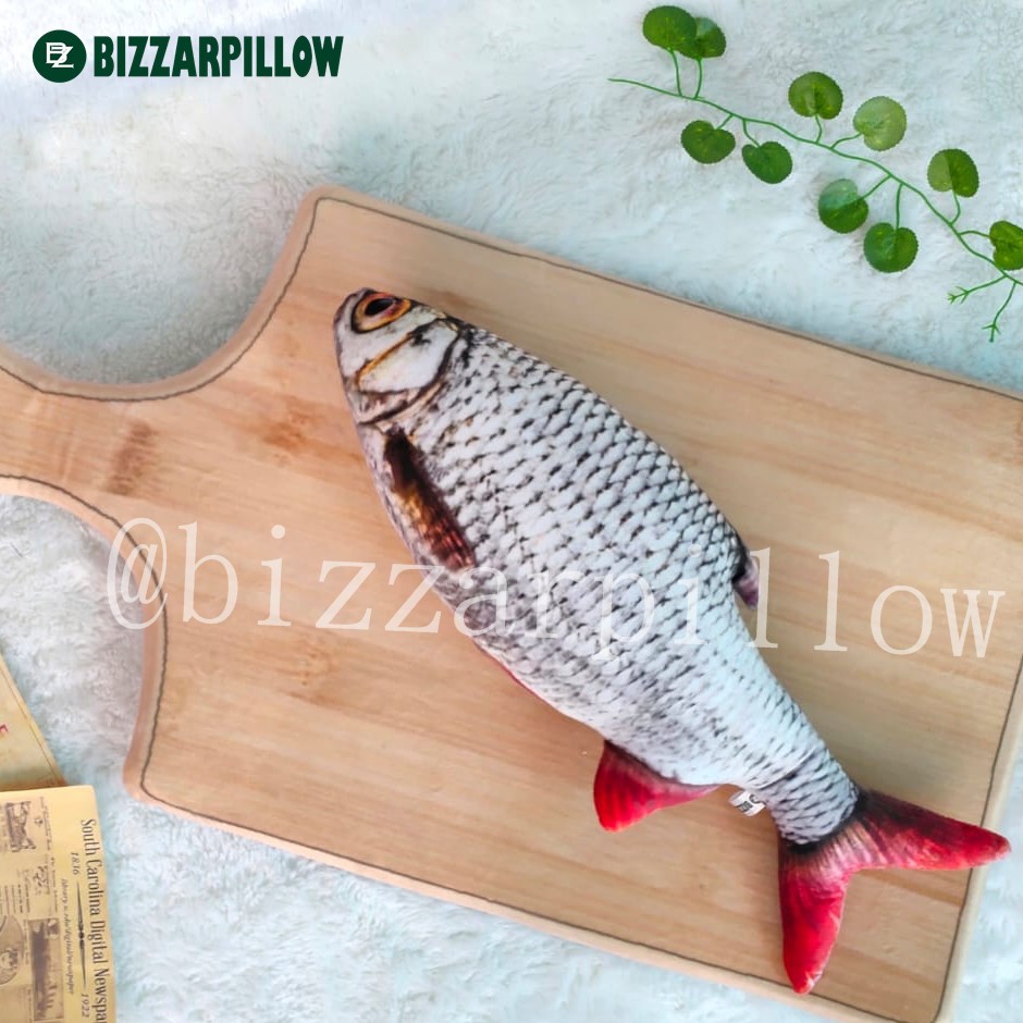 Bizzarpillow Bantal Ikan Asin Size M BZ070