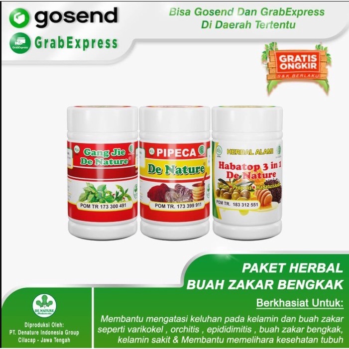 Obat Benjolan buah zakar Varikokel Epididimitis Orchitis buah zakar sakit