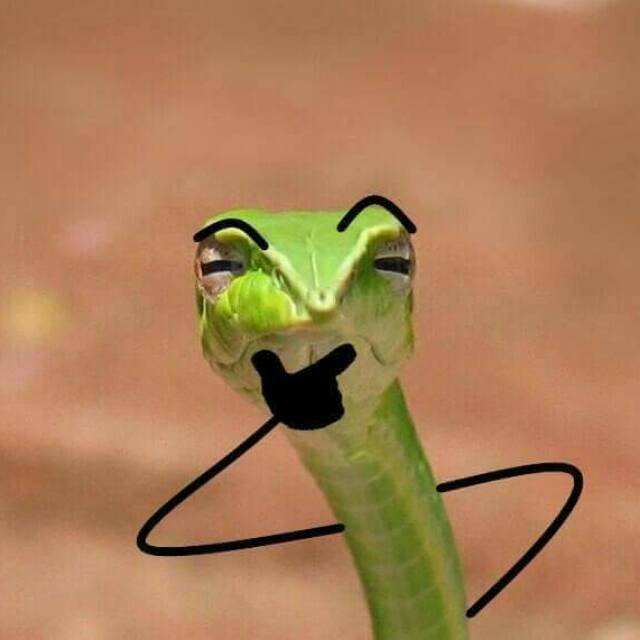 albertobajagultom