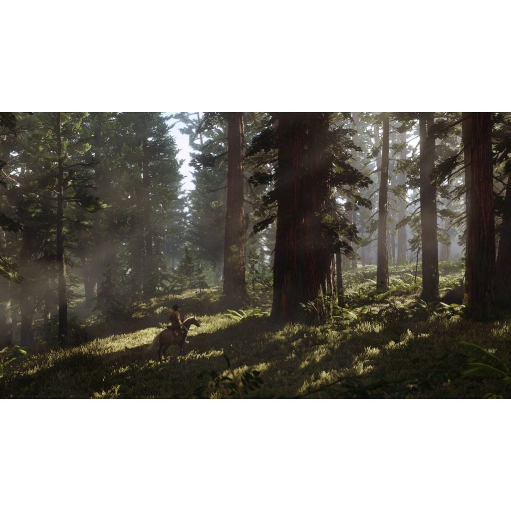 PS4 Red Dead Redemption 2 Reg3 /english