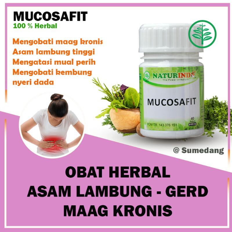MUCOSAFIT obat herbal asam lambung kronis ampuh mengobati maag maagh gerd anxiety nyeri perut melapisi dinding lambung mual muntah sakit perut kiri kembung begah sendawa dan pencernan isi 40 kapsul-5