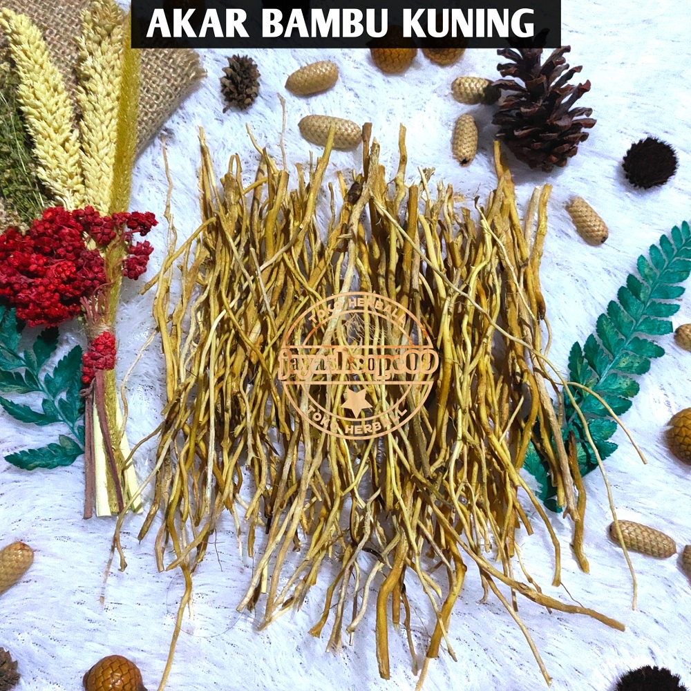 

Akar Bambu Kuning Segar (250 gram)
