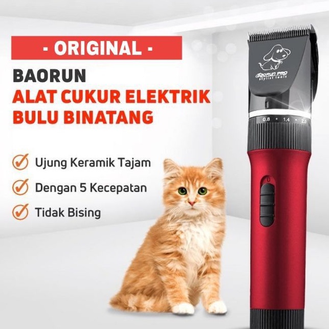 MPV Alat Mesin Cukur Domba Kambing Kucing Anjing Bulu Hewan Binatang Pet Dog Clipper Baorun P6 Peliharaa AMT