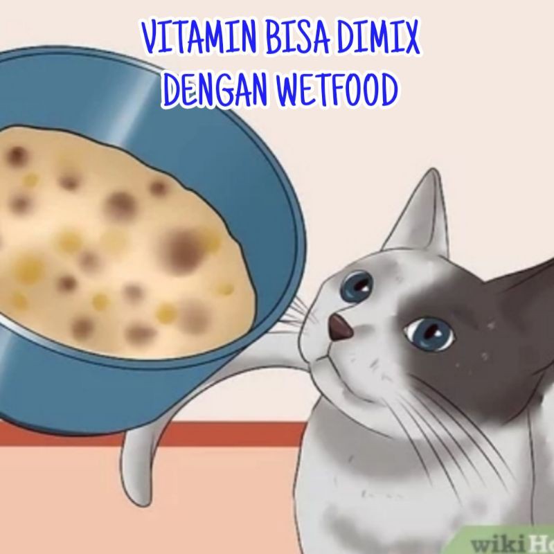 Vitamin Kucing Obat Kapsul Suapin Mudah dan Spet