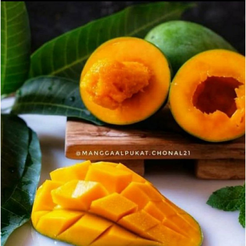 

Mangga Alpukat