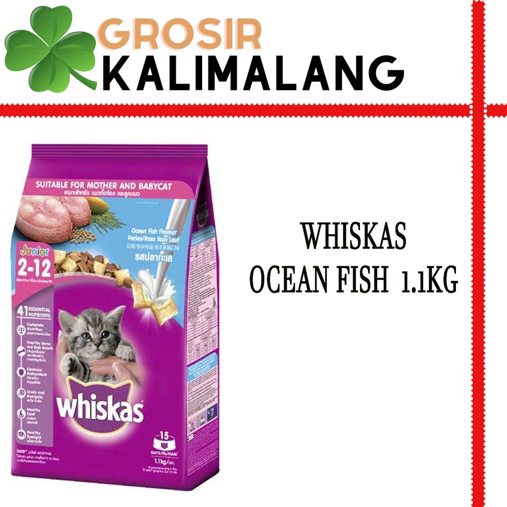 Whiskas Junior Ocean Fish 1.1kg