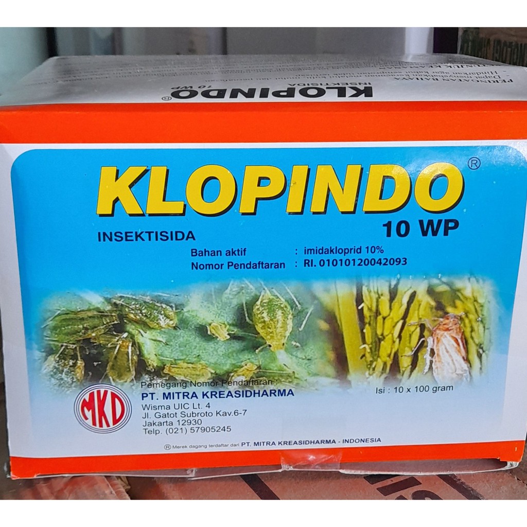 Klopindo 10 WP 100 gr insektisida