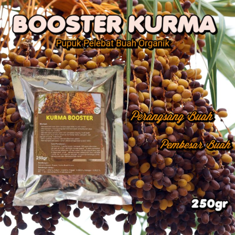 Pupuk Booster Kurma Organik Agar Cepat Berbuah Lebat Asli Ampuh Boster Pelebat Pembesar Pohon Dan Un