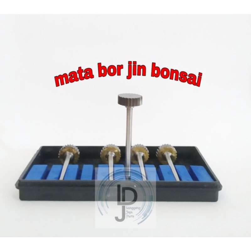 1 biji mata bor jin bonsai