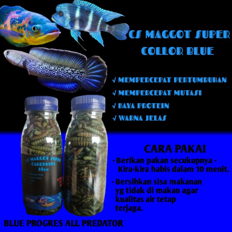 Maggot Super Collor Blue Kemasan Botol 100 ML Khusus Promo Beli 4 Gratis 1