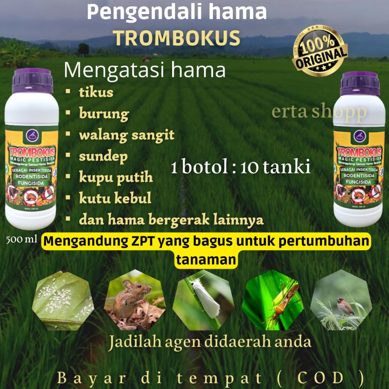 PESTISIDA/TROMBOKUS/PESTISIDA ORGANIK/PENGENDALI HAMA/PENGUSIR TIKUS/PENGUSIR BURUNG/OBAT HAMA/PEMBA