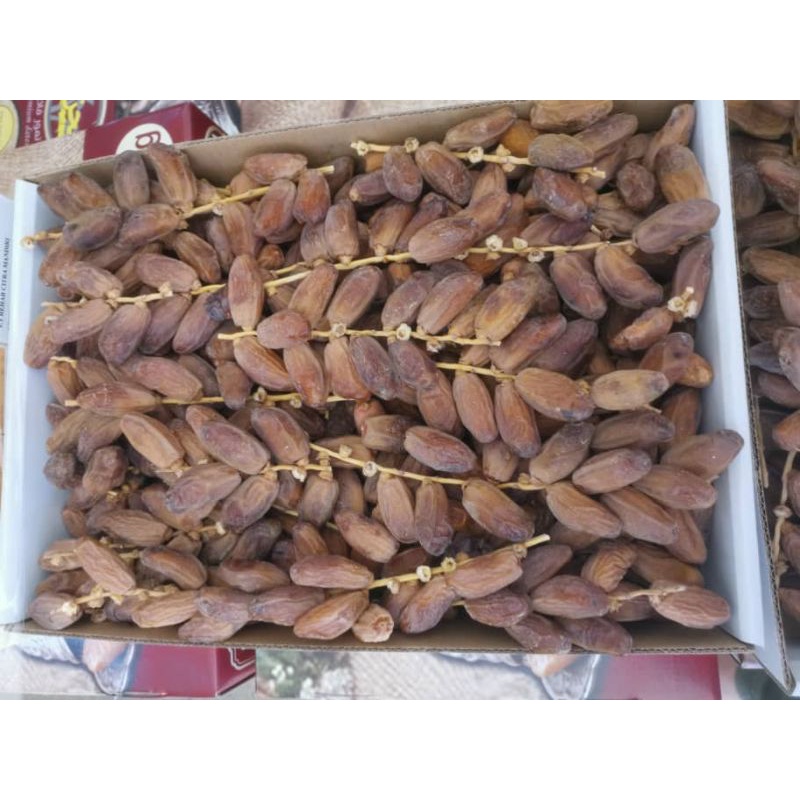

Kurma Tangkai Algeria