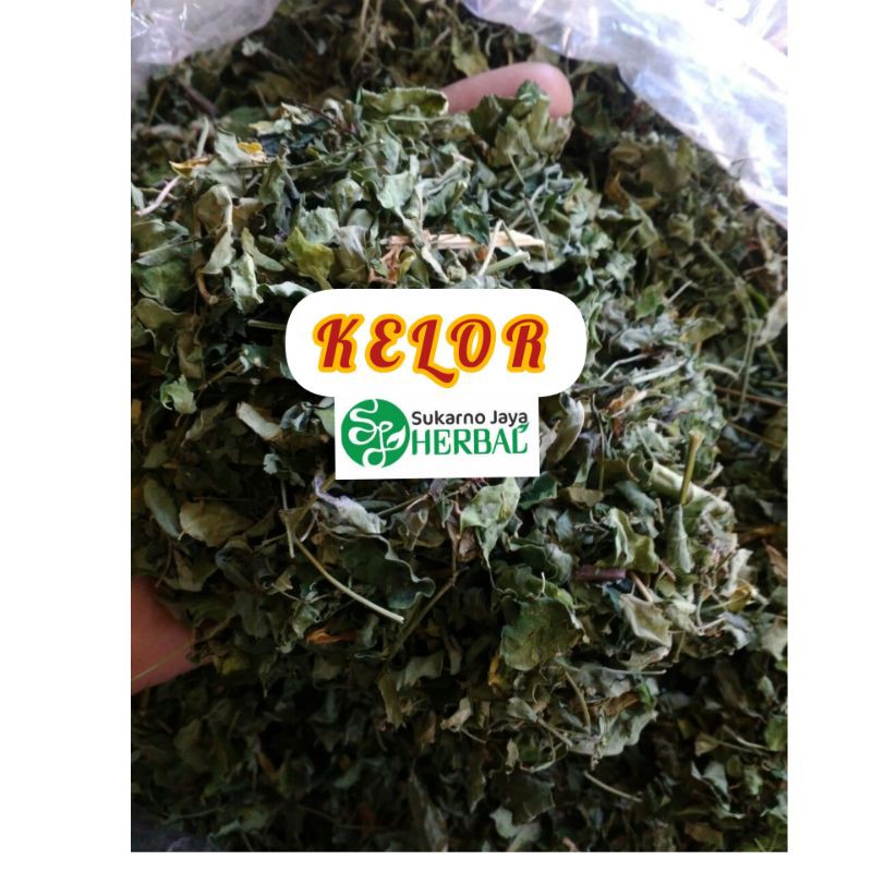 

Daun Kelor kering murni 500gram