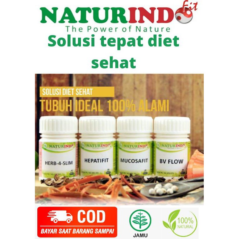 JUAL HERBAL DIET PAKET NATURINDO
