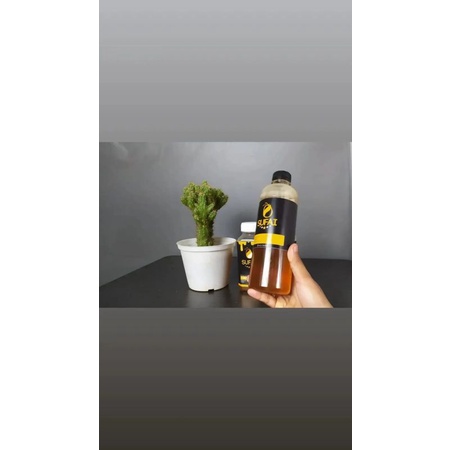 

Madu Sufai murni 100% ~ 500 ml banyak manfaatnya