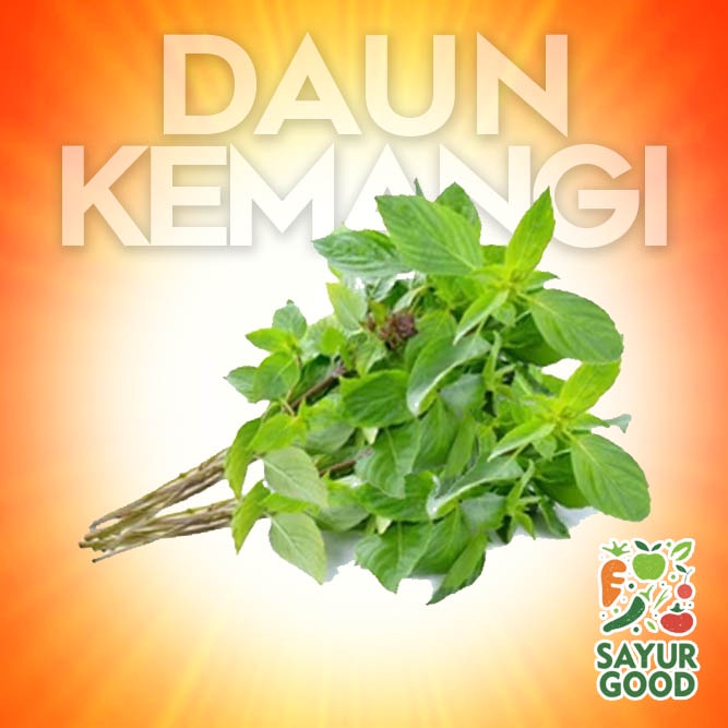 

Daun Kemangi / Kemangi / Ikat (Sayur Segar)