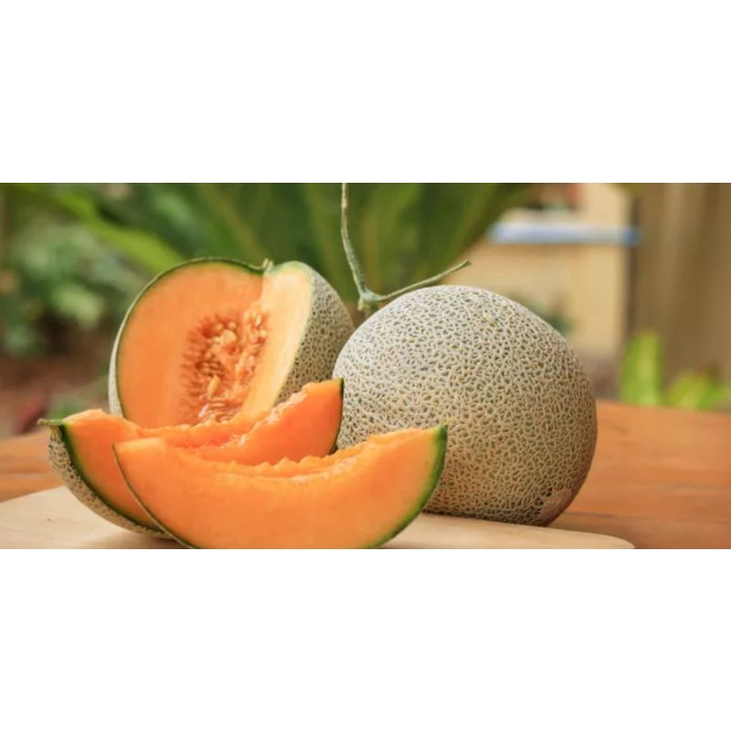 BIBIT PARFUM MELON 1 LITER