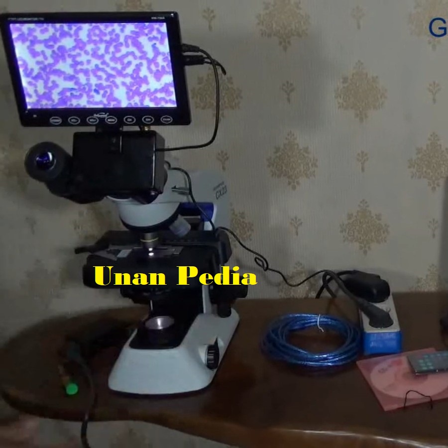 Mikroskop Olympus CX23 Multimedia - Olympus Mikroskop Multimedia CX 23