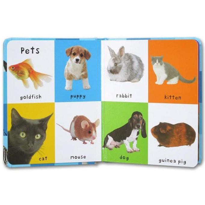 First 100 Animal Board Book
