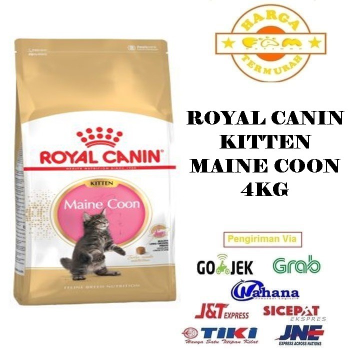 Royal Canin Maine Coon Kitten 4Kg - Makanan Kucing (Cat Food)