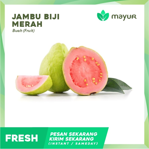 

Jambu Biji Merah (1 Kg)