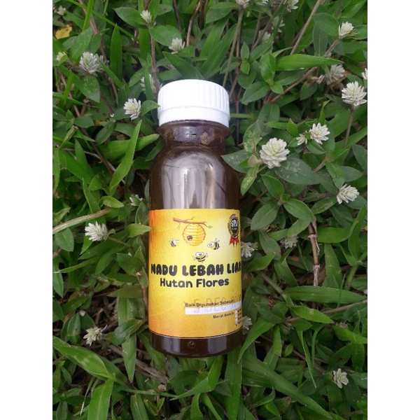 

Madu. Madu Hutan. Madu Asli Dan Murni. Madu Lebah Liar. Madu Hutan Flores. Madu Terbaru. Madu Terlaris. Best Honey. Bukan MaDu Ternak.