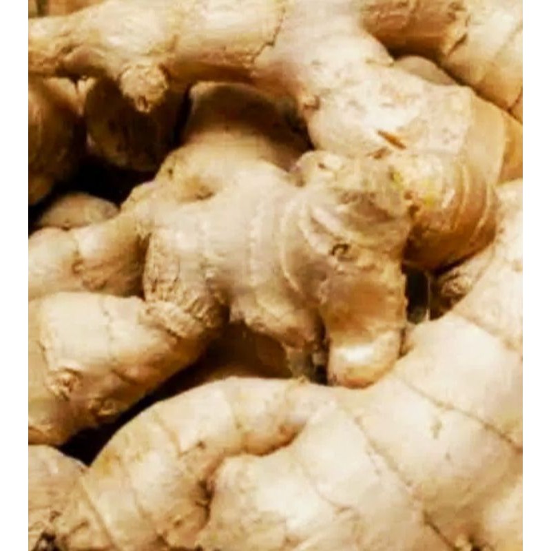 

Sayur Segar - Jahe 250 gr