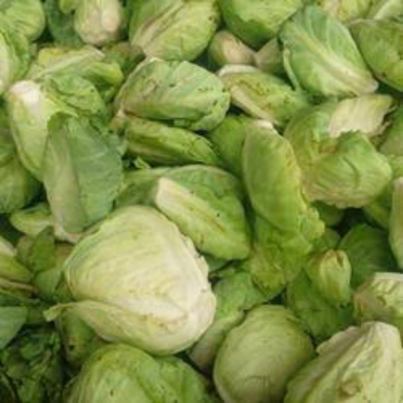 

sayur keciwis 250 gram bandung