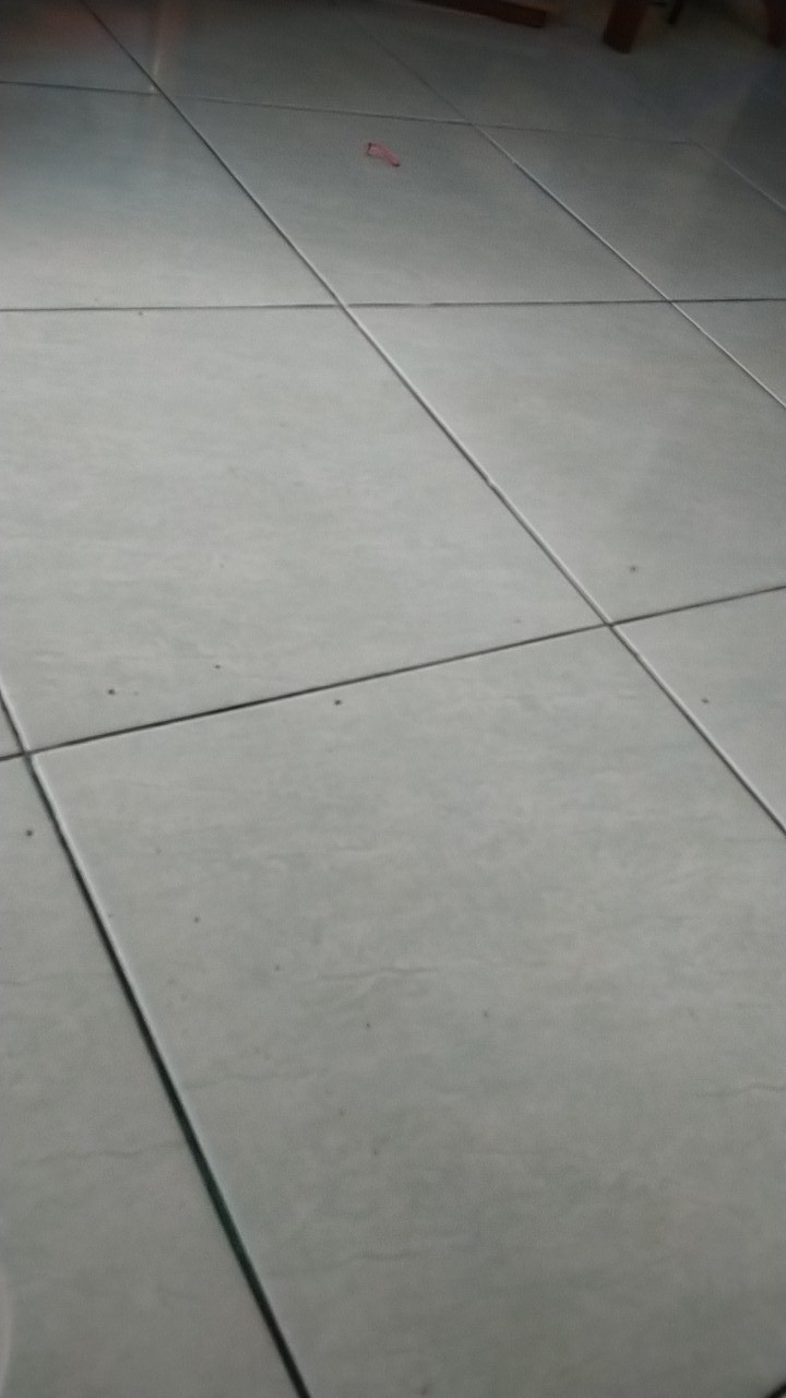 Lap Chamois 3m Pva Super Absorbent Car Wipe 43 X 32cm Berkualitas Daya Serap Tinggi