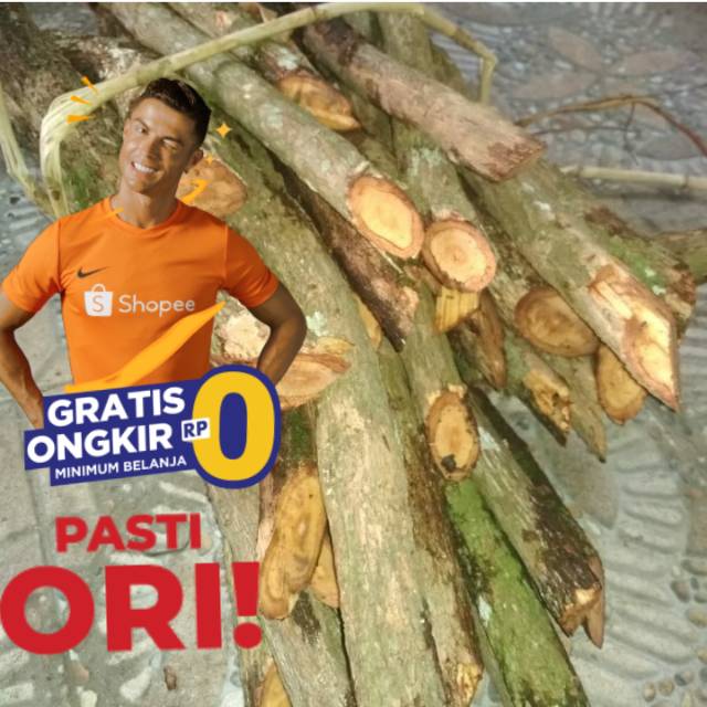 

ASLI akar bajakah kalimantan