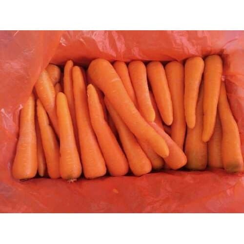 

wortel import premium fresh [carrot]