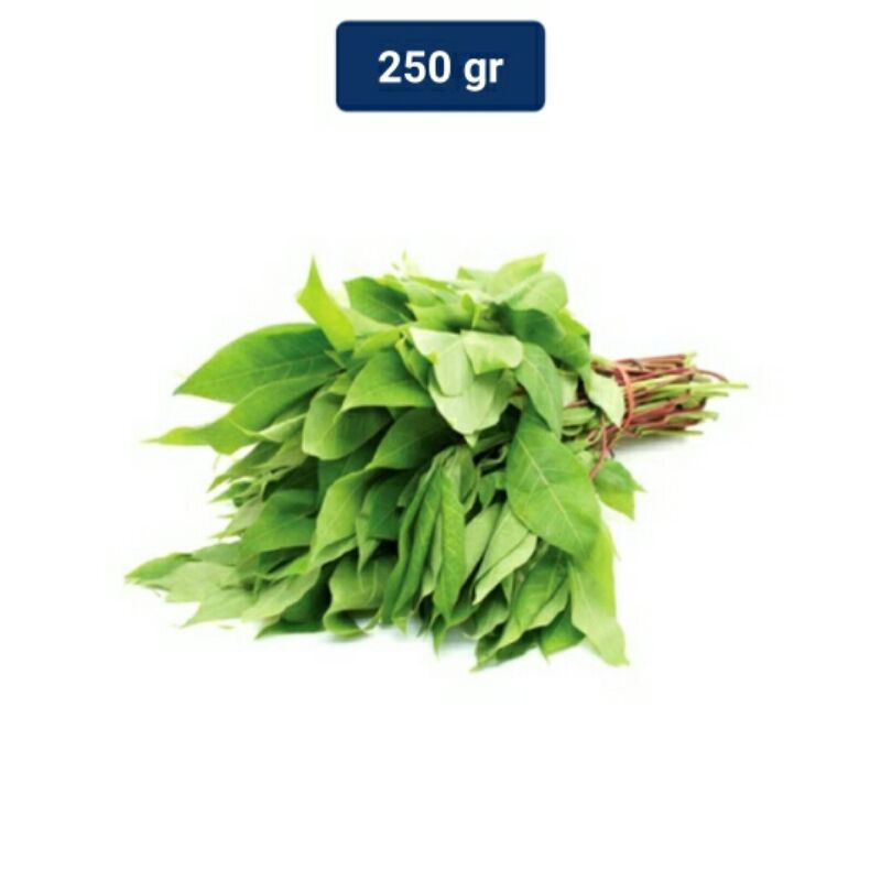 

Daun Singkong Montok Lezat 250 gr