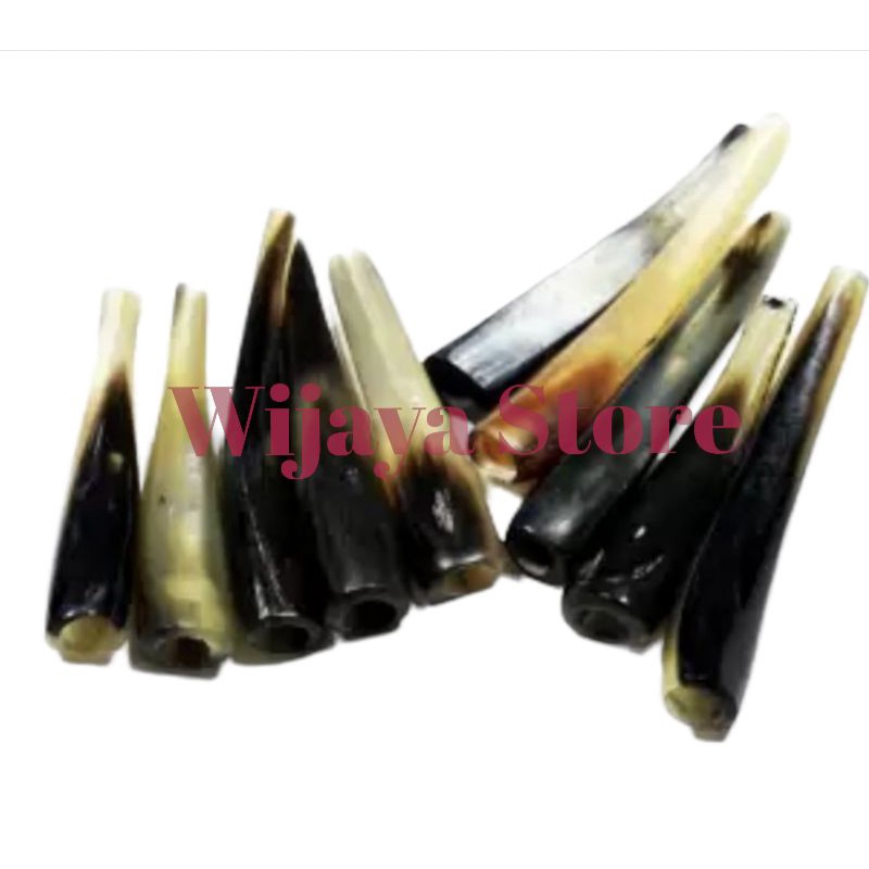 pipa tanduk domba asli, rasa gurih dan nikmat