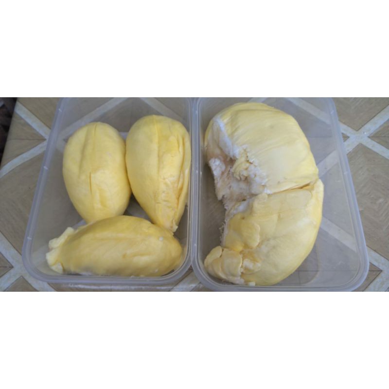 

durian Montong palu