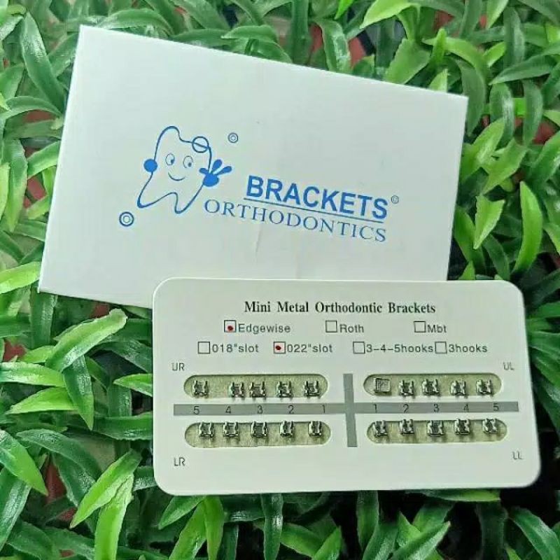 

bracketamplopcute//bracketbehel