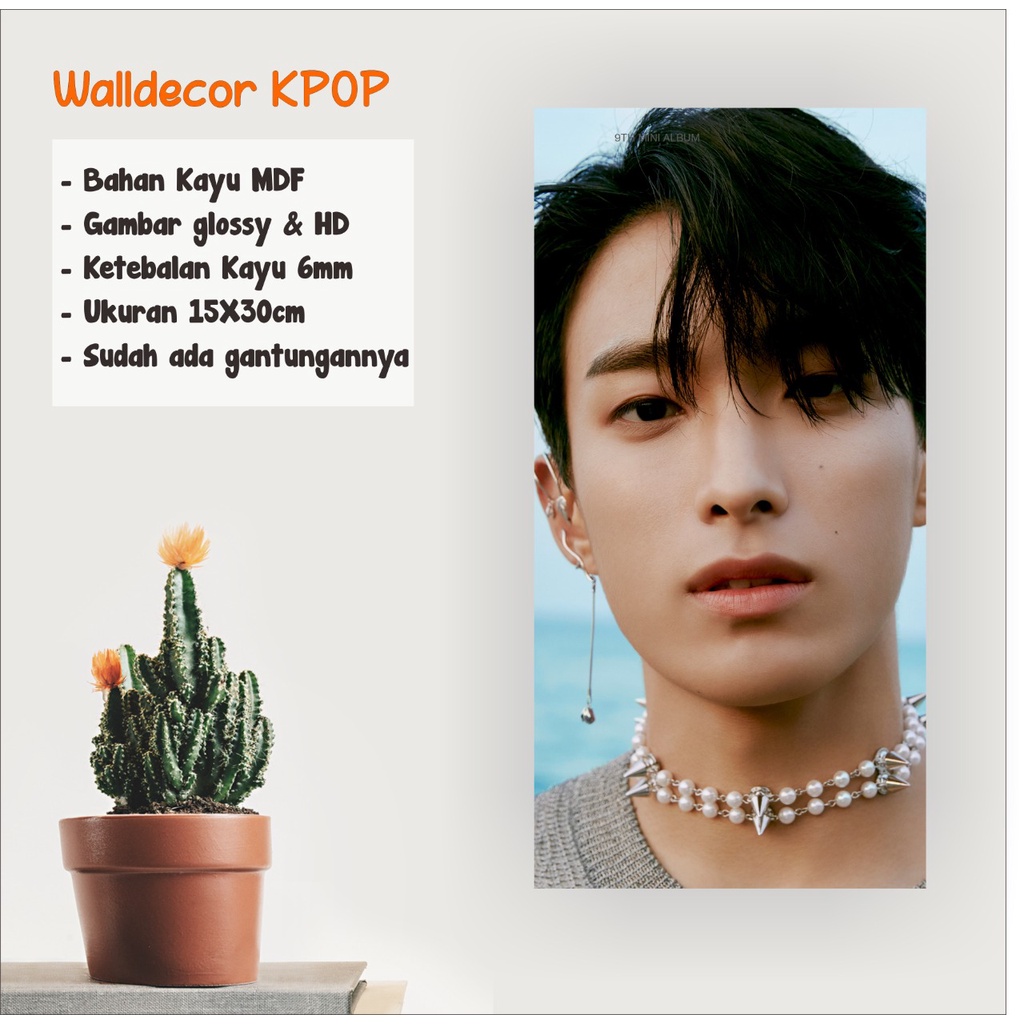 WALLDECOR SEVENTEEN DK ATTACCA UKURAN 15X30 CM WALL DECOR POSTER KAYU HIASAN DINDING KPOP