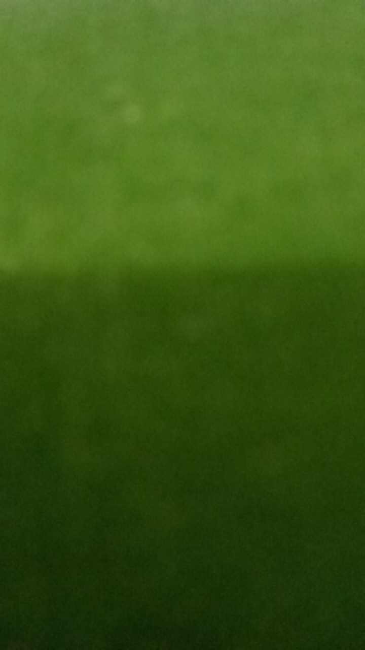 Sprayer 2 Liter Alat Semprot Semprotan Tanaman Hama Alat Mandi Burung