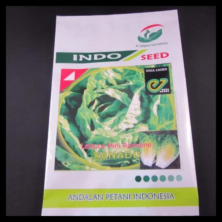 Benih Bibit Mini Romaine Lettuce Xanadu Indoseed By Enza Zaden