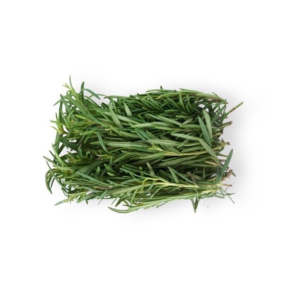 

Rosemary Organik 50gr-Jkut