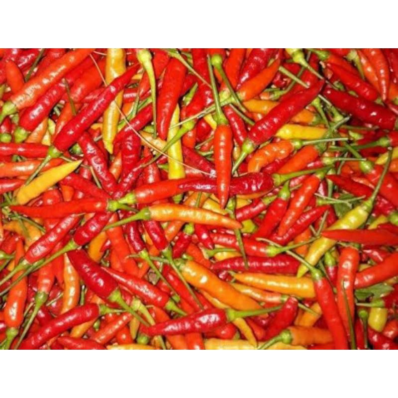 

cabe rawit merah 200gr